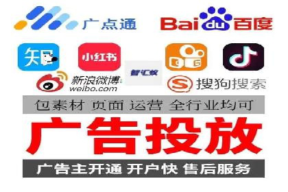 某电商平台的SEM策略与效果展示